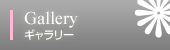 Gallery
M[